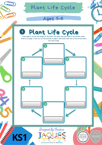 Plant Life Cycle - Key Stage 1