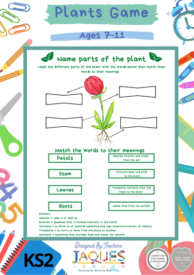 Plant Activity - Key Stage 2