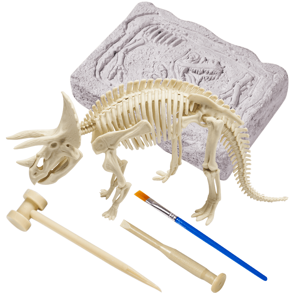 Triceratops Fossil Dig Kit Excavation Toy For Kids – Jaques of