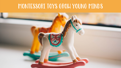 Montessori Toys for Child Education