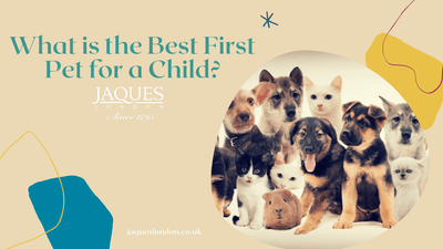 What is the Best First Pet for a Child?