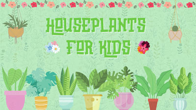 Houseplants for kids