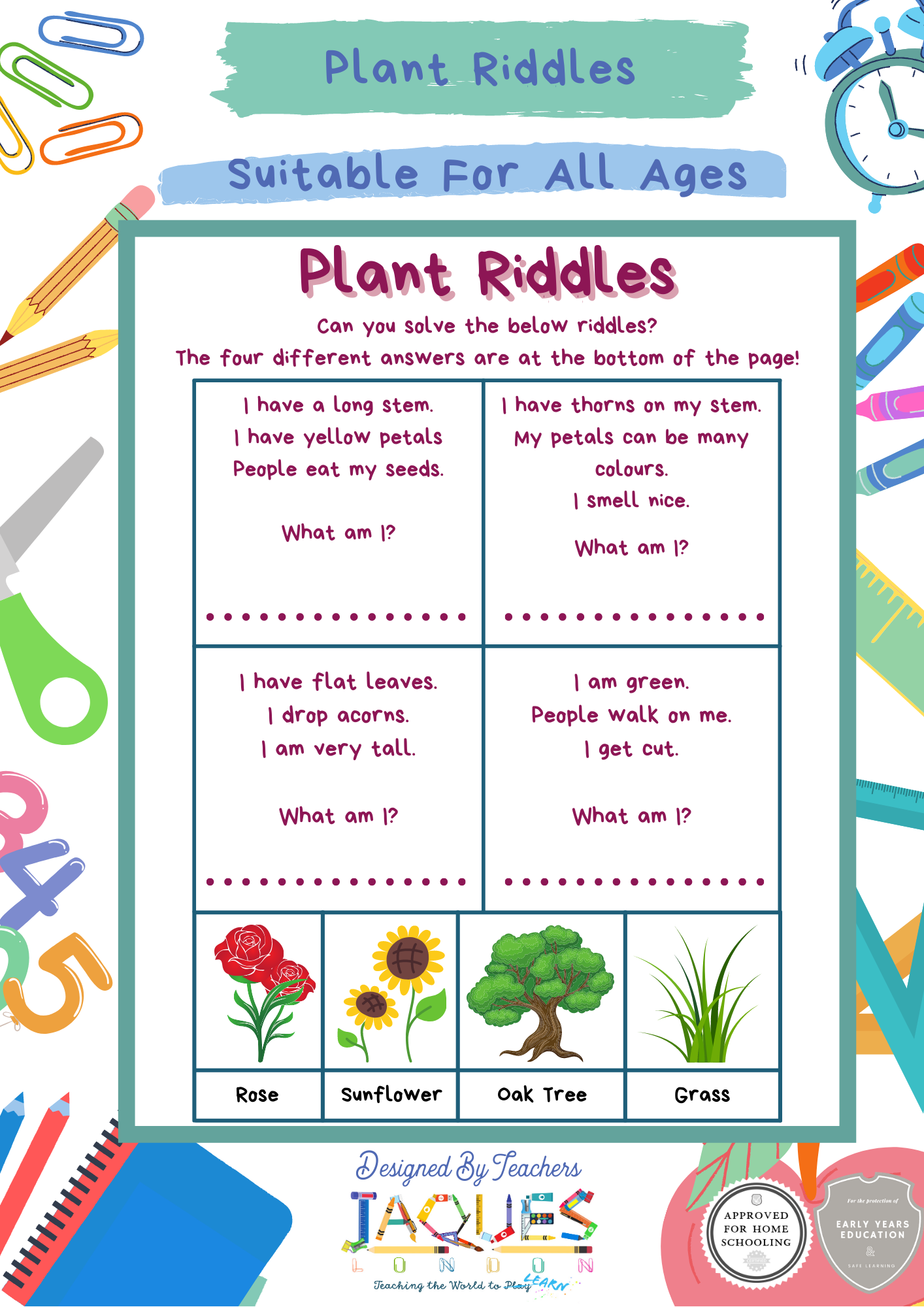 Plant Riddle Activity For Kids – Jaques of London