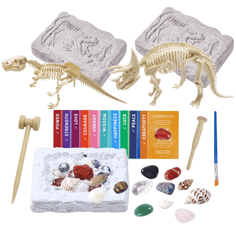 Dinosaur excavation kit with tools and stones on a green background