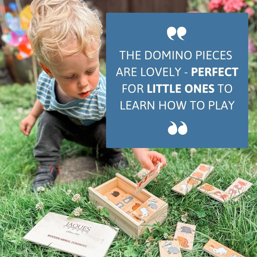 Animal Dominoes - Wildlife Game 6