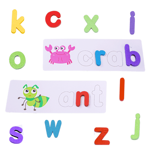 Colourful alphabet letters and word cards on a green background [fill]