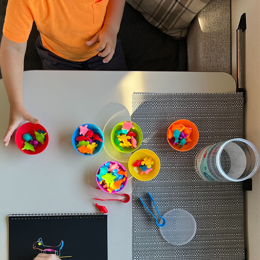 Educational Game - Colour Sorting 6