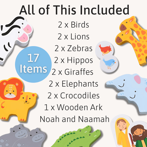  Noah’s Ark shape sorter