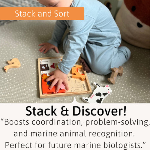 Child playing with a wooden sorting toy on the floor, with text about the educational benefits of the toy. 