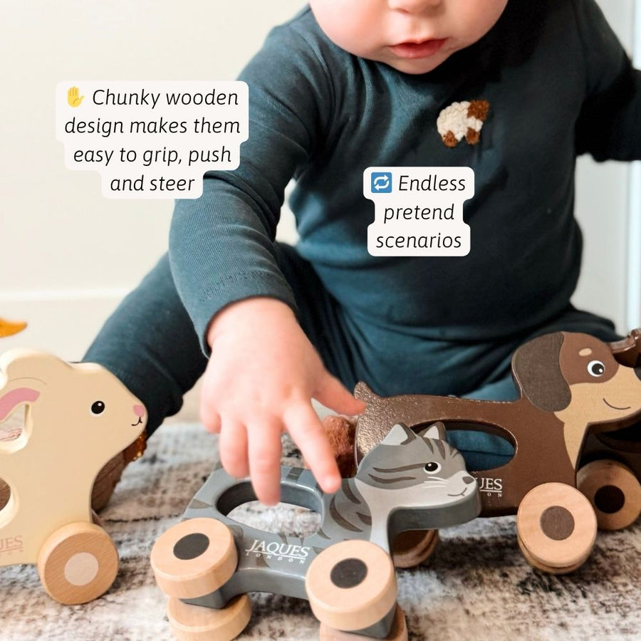 Push & Play Pet Set 2