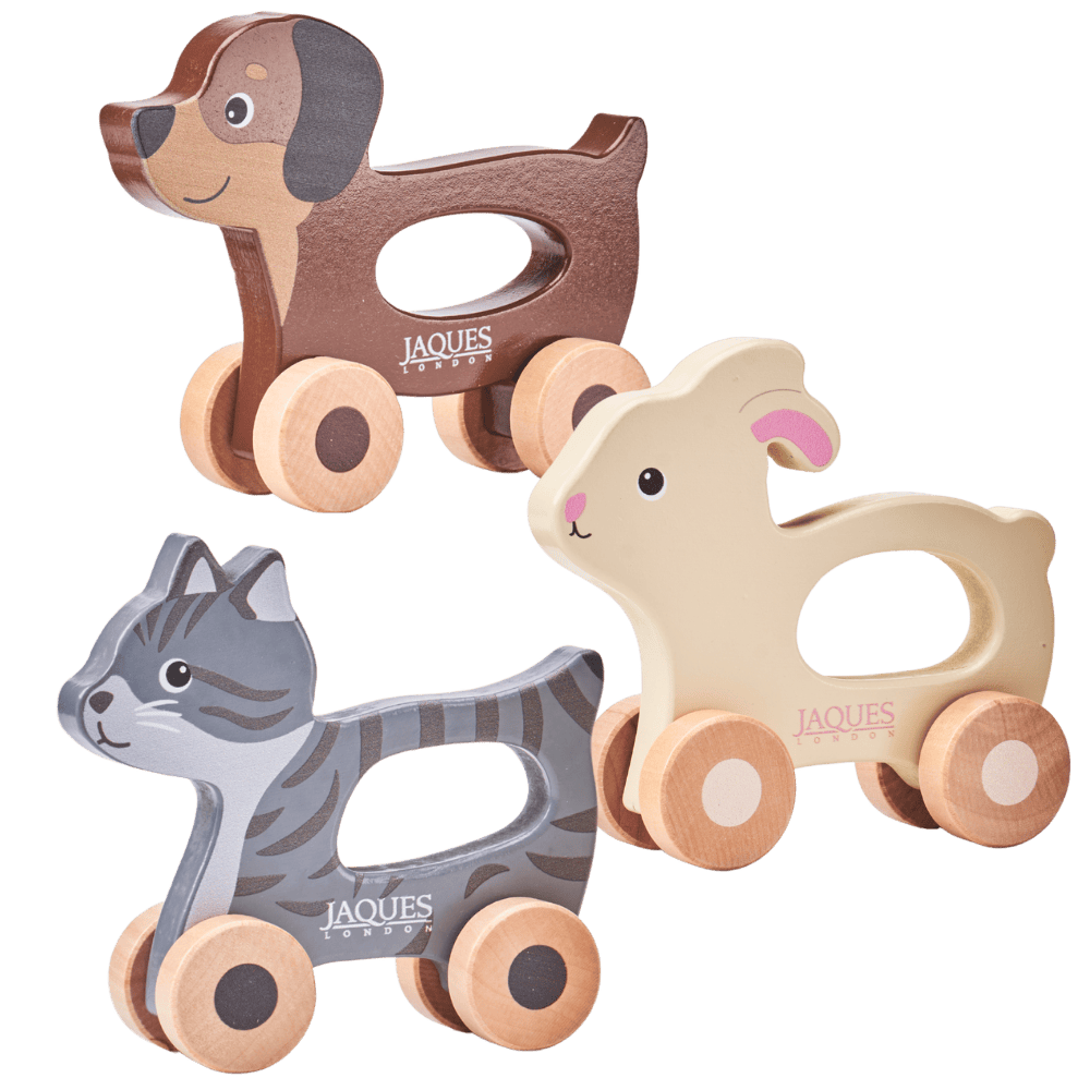 Push & Play Pet Set