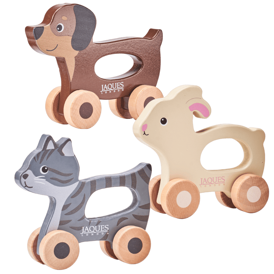 Push & Play Pet Set 1