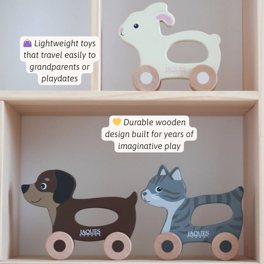 Push & Play Pet Set 3
