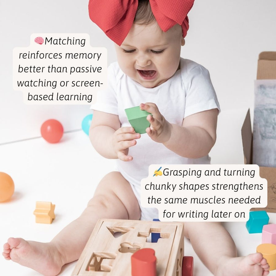 Shape Sorter - Shape Sorting Toy 3