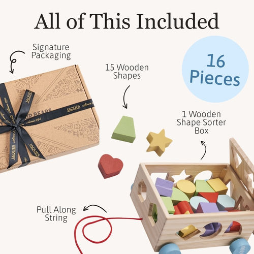 Flat lay showing everything included in the set, highlighting the variety of shapes for extended learning. 