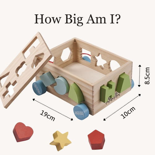 Clear size comparison image showing the pull-along shape sorter’s dimensions for easy parent reference. 