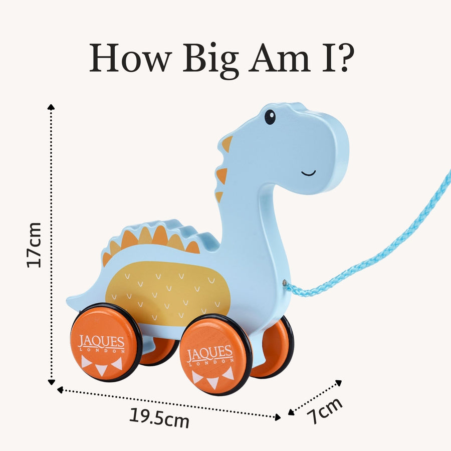 Dylan The Dinosaur Pull Along Toy 6