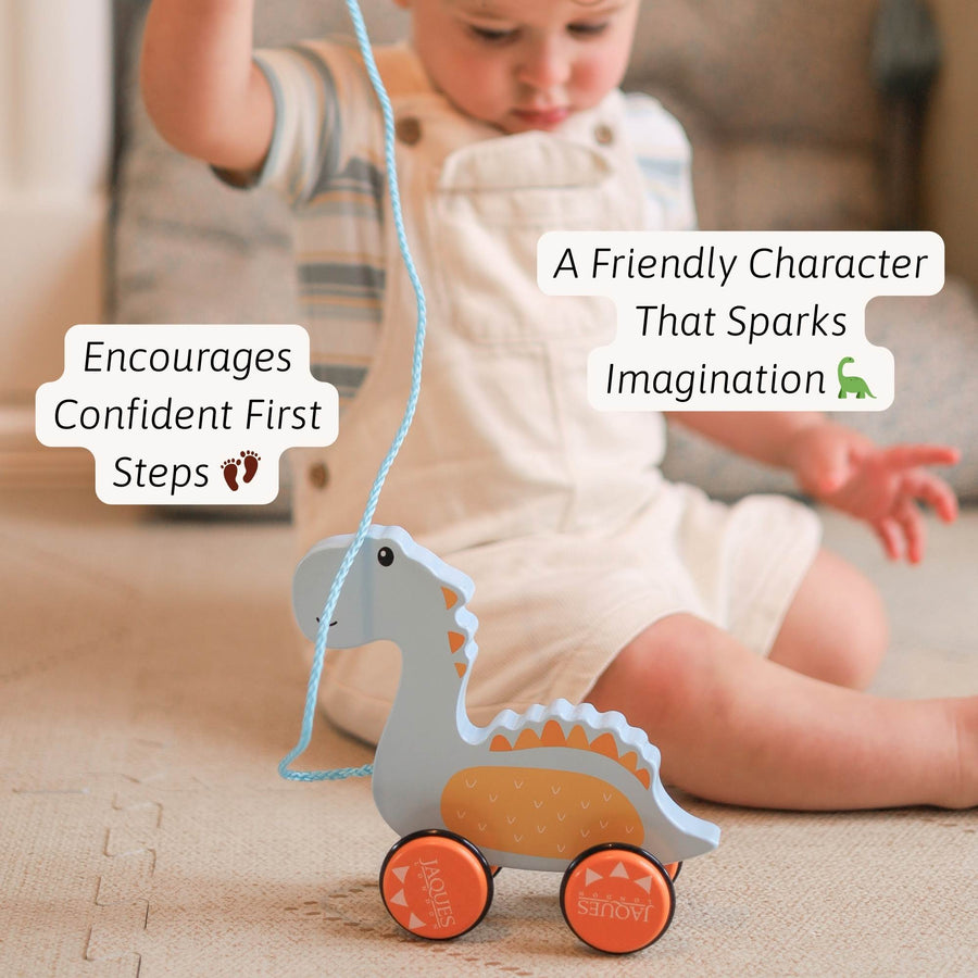 Dylan The Dinosaur Pull Along Toy 2