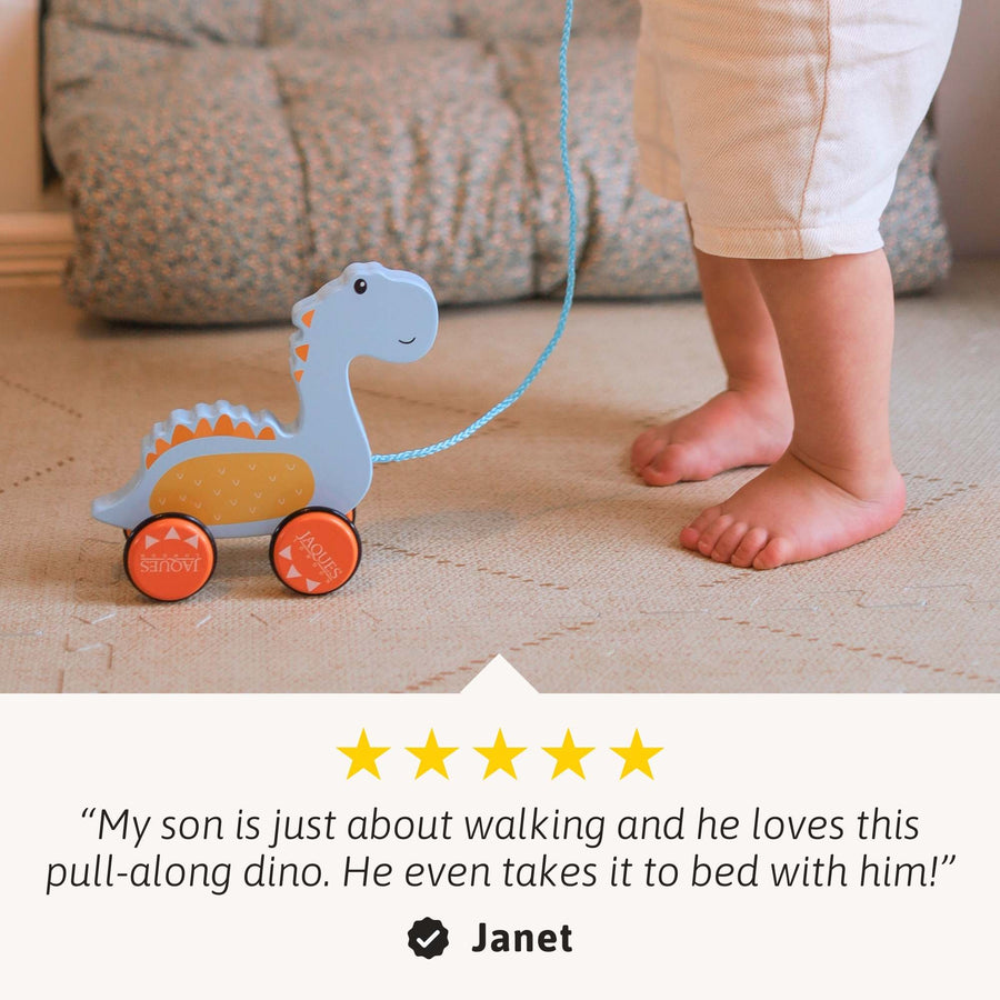 Dylan The Dinosaur Pull Along Toy 4