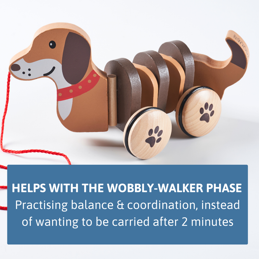 Dolly The Dachshund Pull Along Toy 5