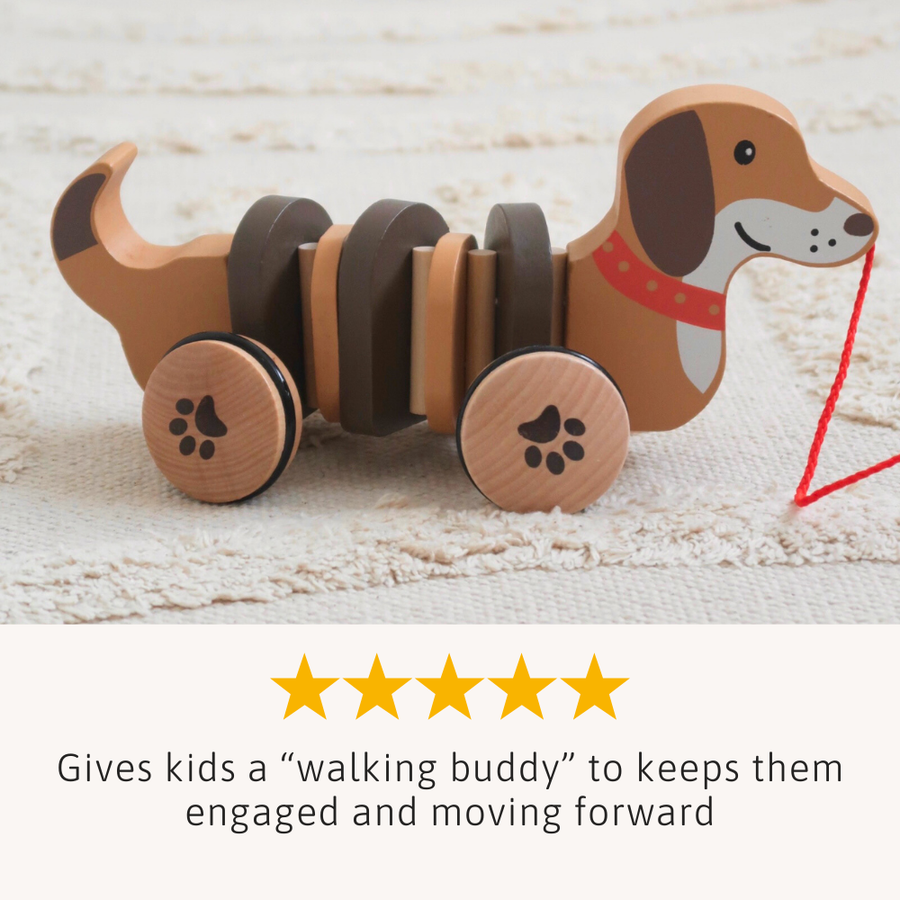 Dolly The Dachshund Pull Along Toy 4