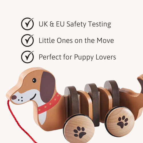 Wooden pull along dog toy tested for UK and EU safety, designed for toddlers learning to walk 