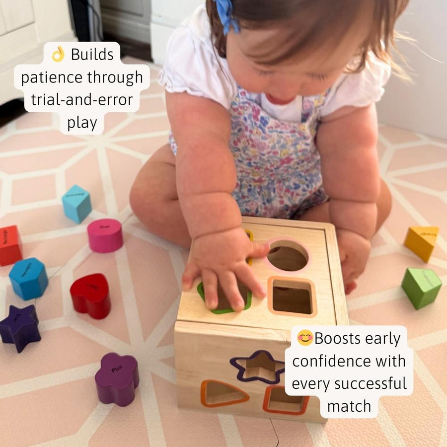 Shape Sorter - Learning Game 5