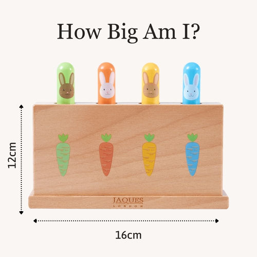 Product size and layout showing the compact wooden toy design 