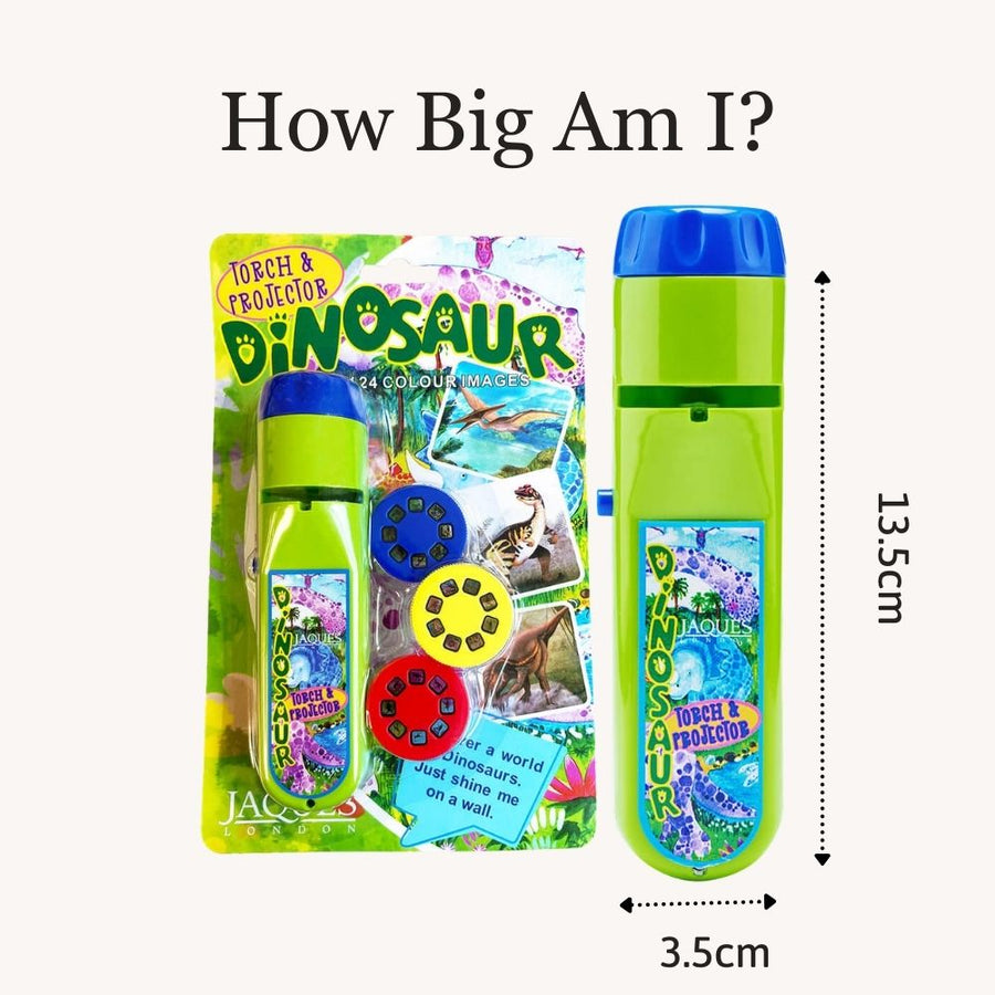 Dinosaur Torch & Projector - Torch Toy 9