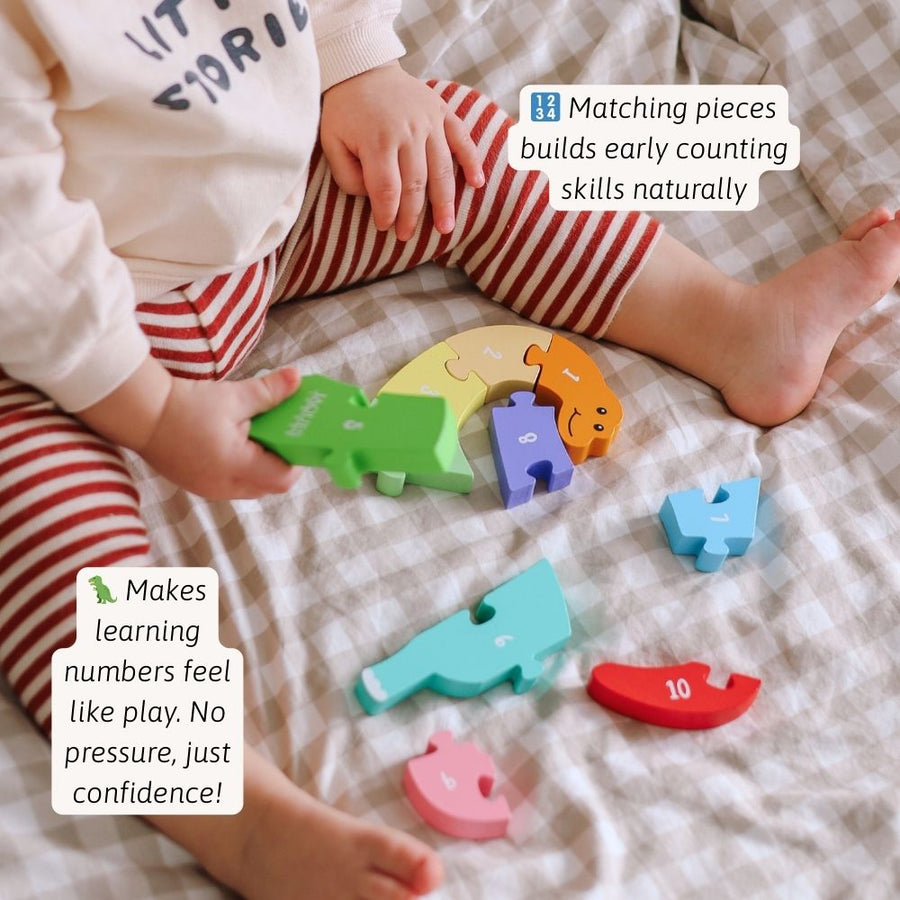 Counting Dinosaur - Number Puzzle 2
