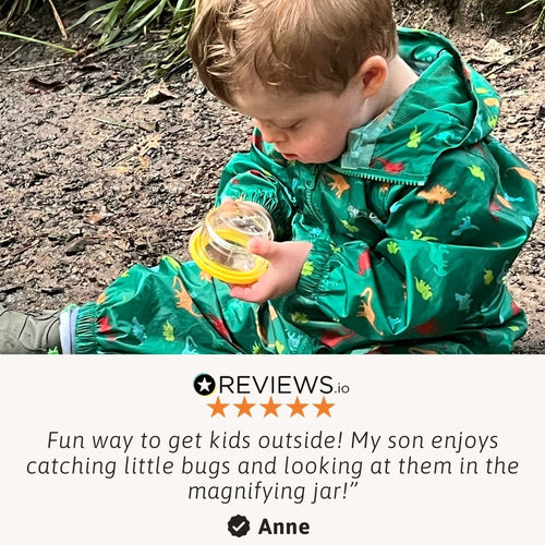 Hands-on discovery as a child examines a bug through a magnifying viewer 