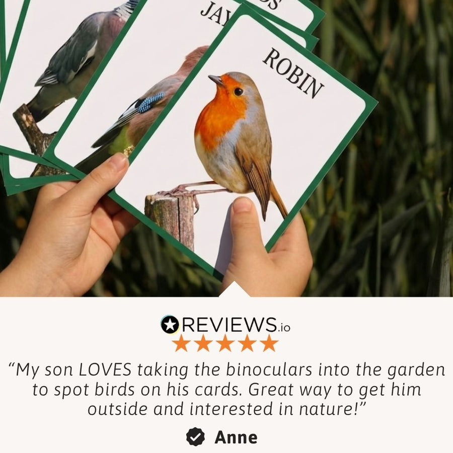 Bird Watching Kit 6