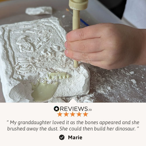 A close-up of a child's hand using a wooden sculpting tool to carve a white plaster or stone dinosaur skeleton replica on a work surface, with a review quote from Marie below on a light beige background. 
