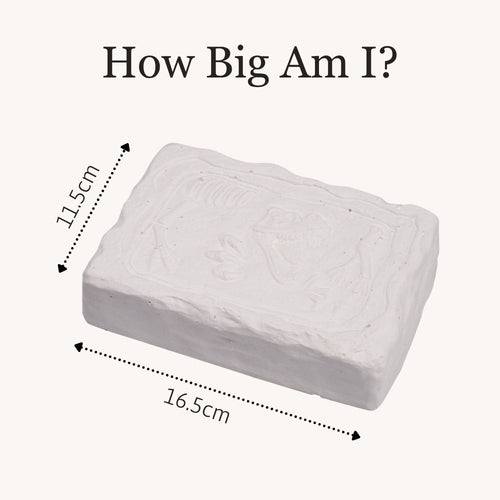 A white rectangular decorative block or mold with embossed floral details, shown with dimension arrows and text reading 'How Big Am I?' and measurements 11.5 cm and 16. 