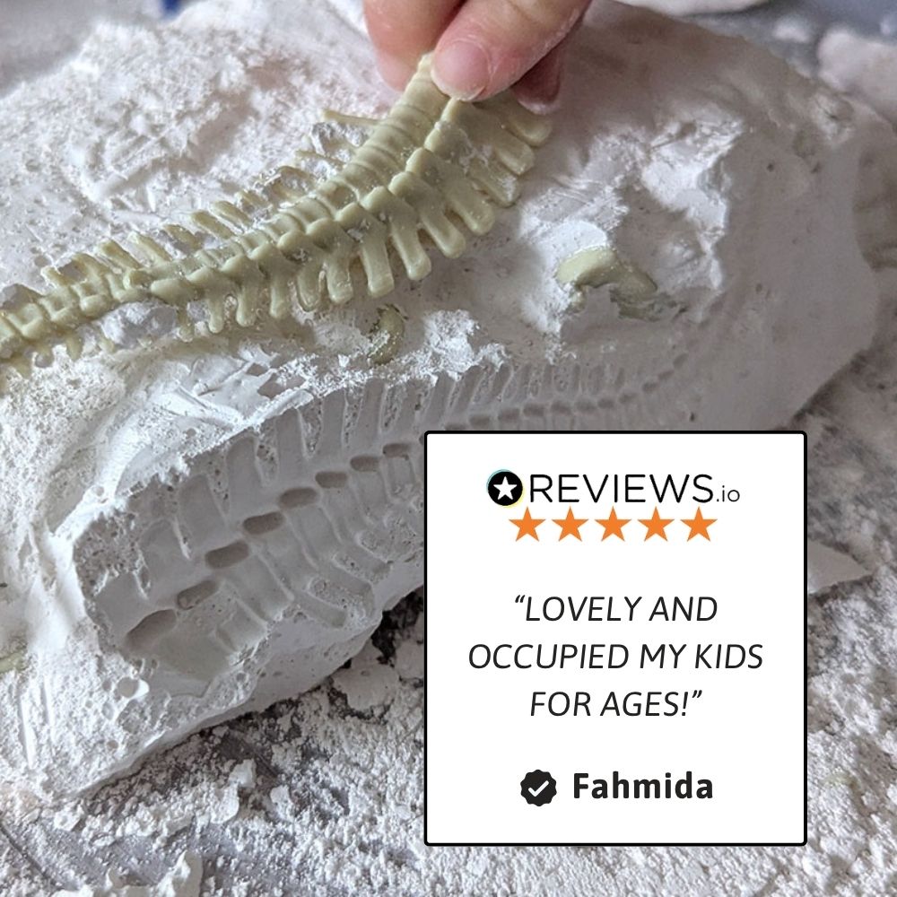 A hand is holding a small pale greenish-beige reptile skeleton replica over a white plaster fossil mold. A white review card with a five-star rating and the name Fahmida is overlaid on the lower right. 