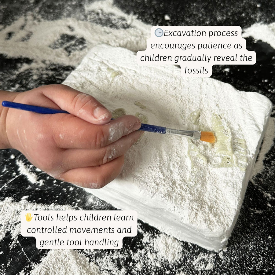 Triceratops Fossil Dig Kit 2