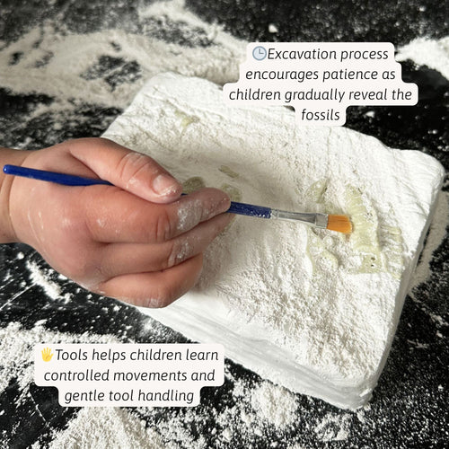 Child using a small brush to sweep powder off a plaster fossil excavation block, gradually revealing the hidden fossil during the digging process. 