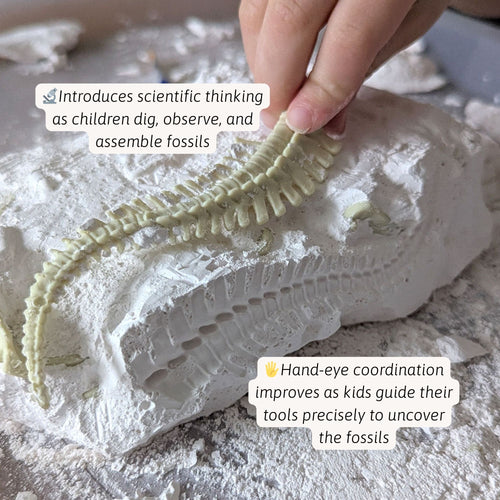 Close-up of a child brushing dust away from a partially uncovered dinosaur skeleton fossil embedded in a white plaster excavation block. 
