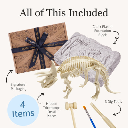 Product contents display showing the fossil excavation kit items, including the plaster dig block, small tools, and an assembled dinosaur skeleton model. 