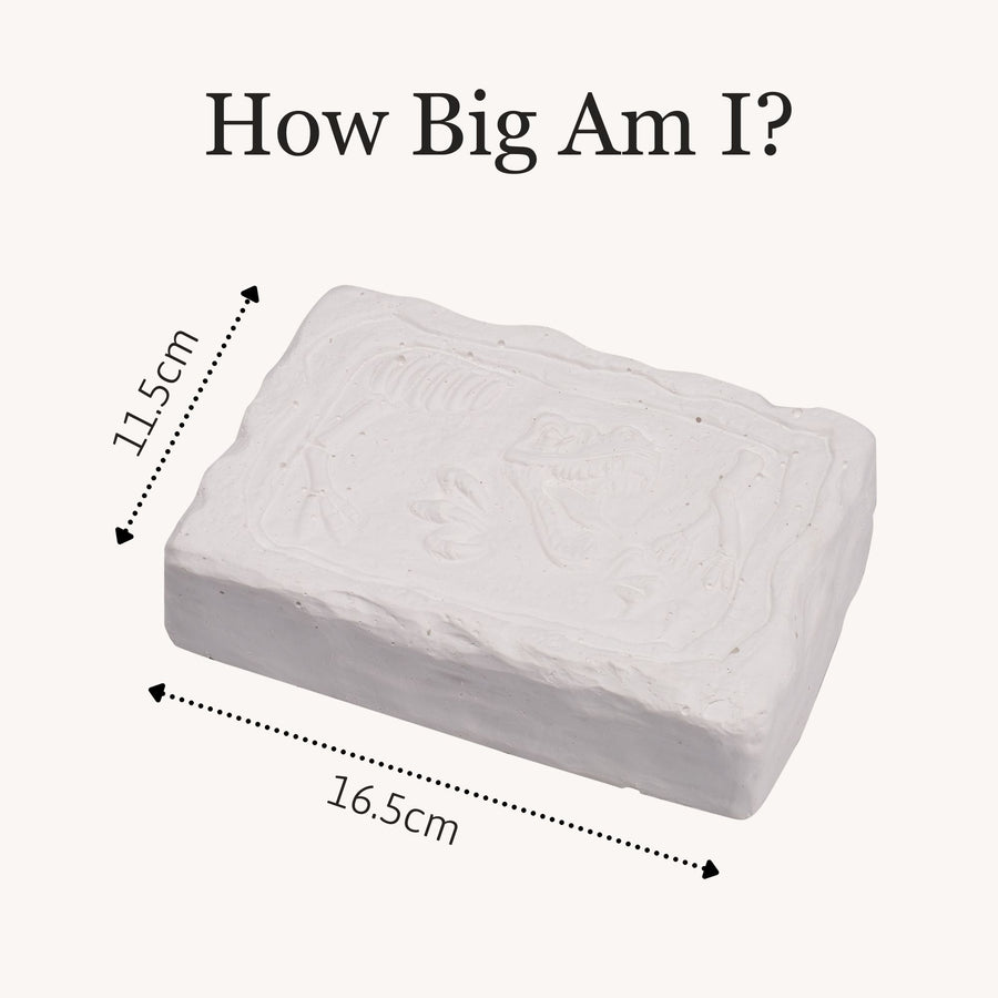 Triceratops Fossil Dig Kit 6