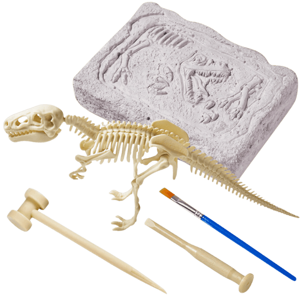 Dinosaur Digging Toy Excavation Kit For Kids – Jaques of London