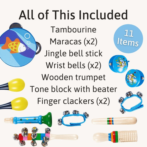 Set of musical instruments with a list of included items on a white background 