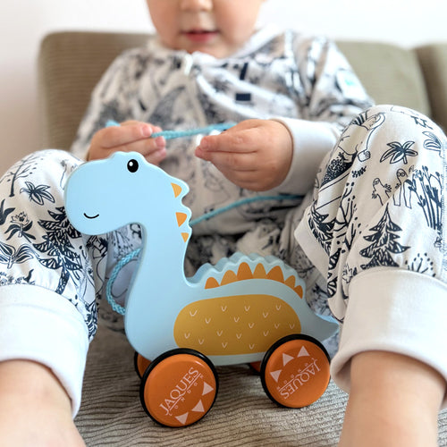  Child playing with pull along Dinosaur toy 