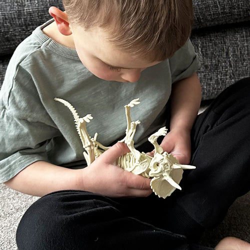  Child holding completed dinosaur 