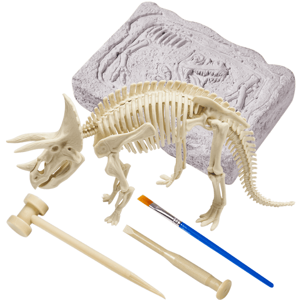 Triceratops Fossil Dig Kit Excavation Toy For Kids Jaques of London