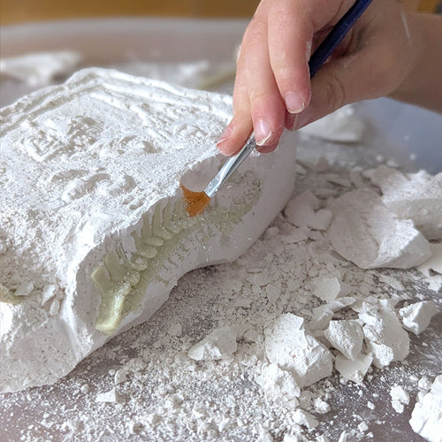  Brush on dinosaur digging kit toy 