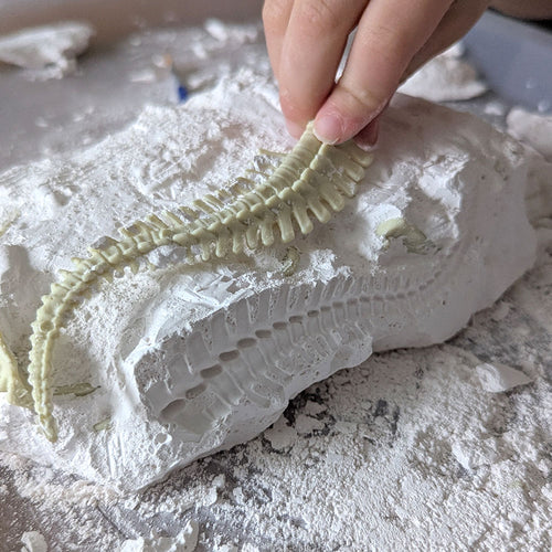  Dinosaur digging kit toy part