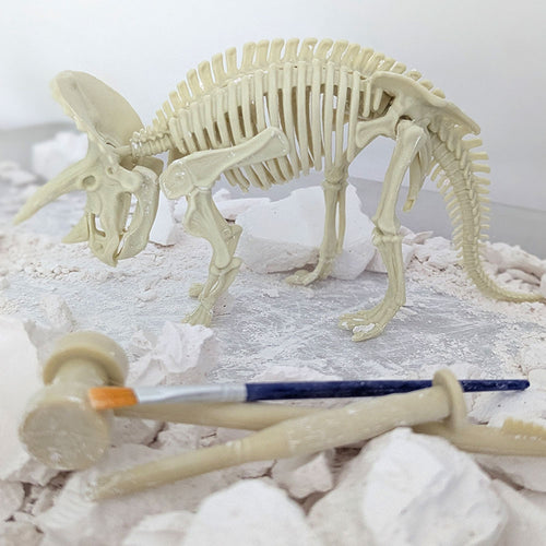  Dinosaur digging kit toy completed 