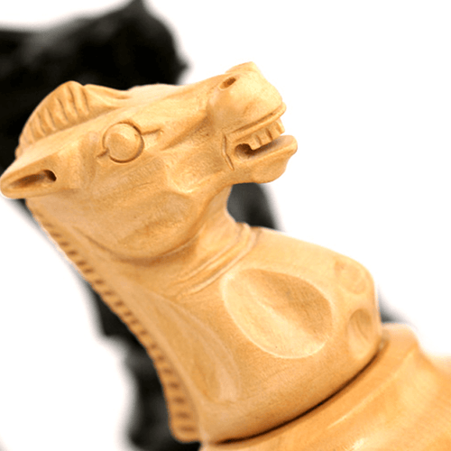  Zoomed in image of knight