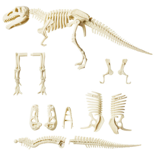 Dinosaur digging kit toy parts
